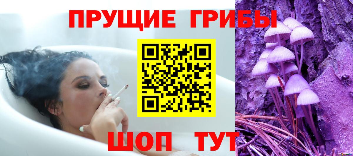 Галлюциногенные грибы GOLDEN TEACHER  Вход с VPN  Троицк 